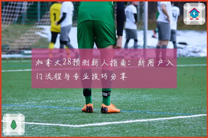 加拿大28预测新人指南:新用户入门流程与专业技巧分享