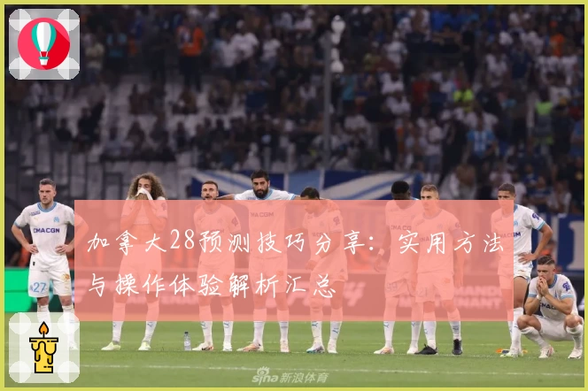 加拿大28预测技巧分享：实用方法与操作体验解析汇总