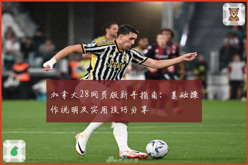 加拿大28网页版新手指南：基础操作说明及实用技巧分享