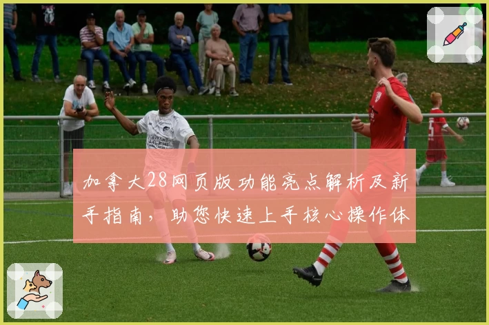 加拿大28网页版功能亮点解析及新手指南，助您快速上手核心操作体验