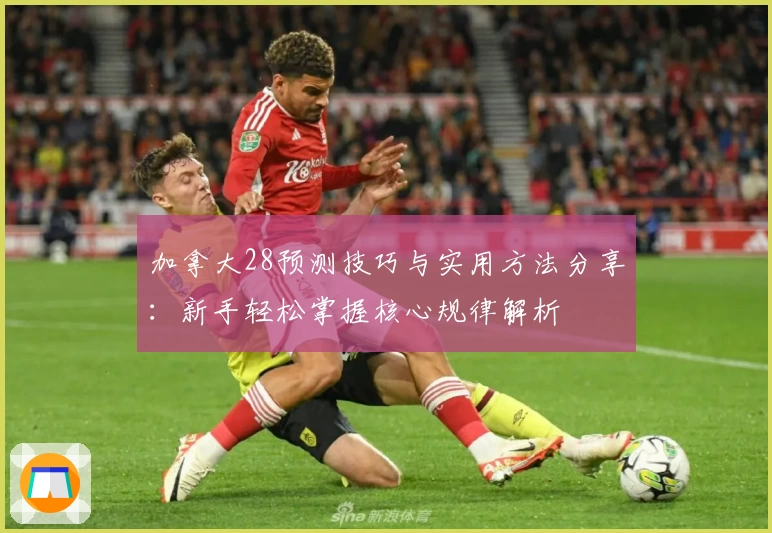 加拿大28预测技巧与实用方法分享:新手轻松掌握核心规律解析