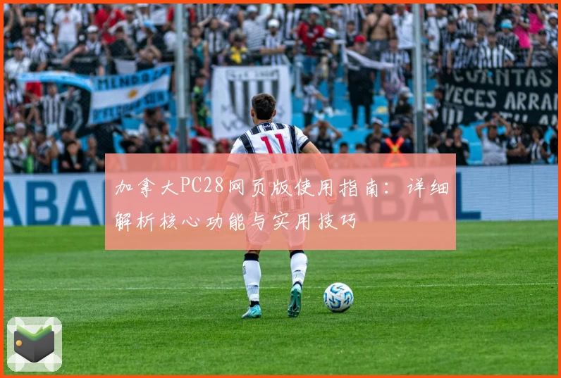 加拿大PC28网页版使用指南:详细解析核心功能与实用技巧