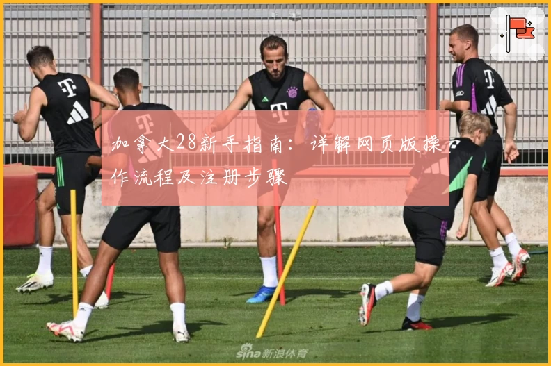 加拿大28新手指南：详解网页版操作流程及注册步骤